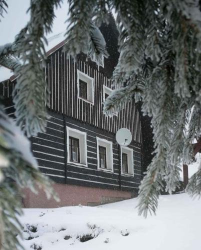 Jestrabi v Krkonosich House | Holiday home in Jestrabi v Krkonosich 2207