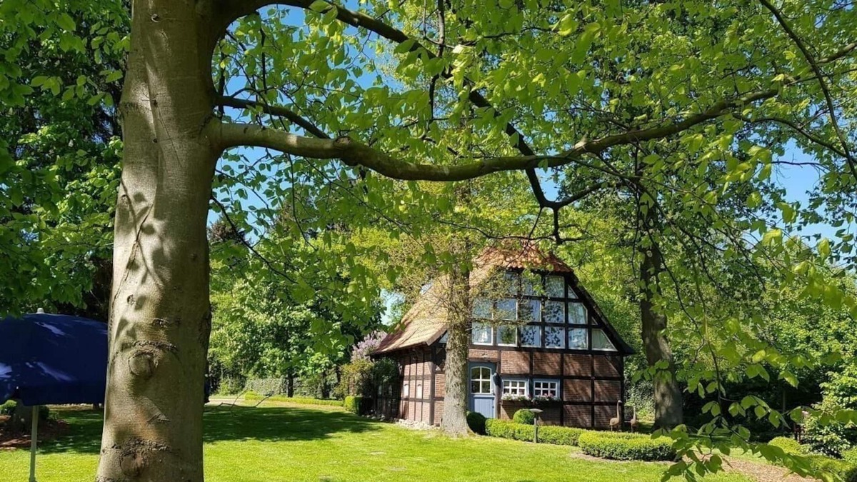 Borchel House | Holiday home for 2 guests with 120m² in Rotenburg-Borchel (186095)