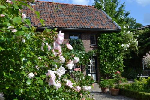 Beutenaken House | Holiday home Elena