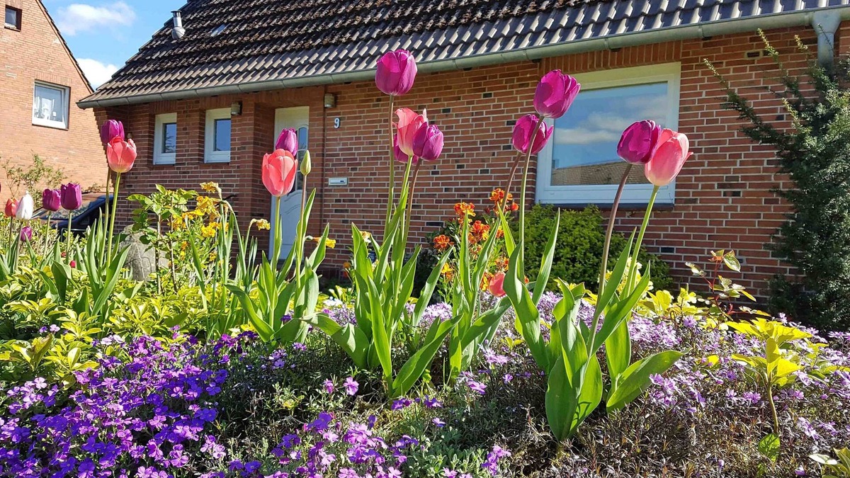 Osterronfeld House | Holiday home for 4 guests with 100m² in Osterrönfeld (15633)