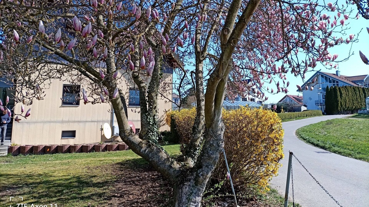 Reichenau House | Holiday home for 7 guests with 100m² in Reichenau (164750)