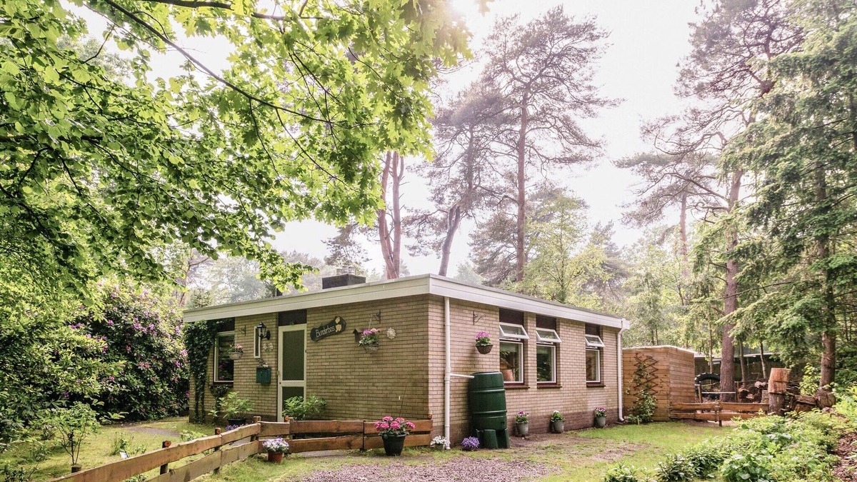 Hoogengraven House | Holiday Home in Arriën near Beerze Nature