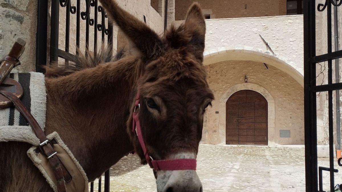 Goriano Valli Apartment | Holiday home “Orso” - Spacious apartment in a historic palazzo