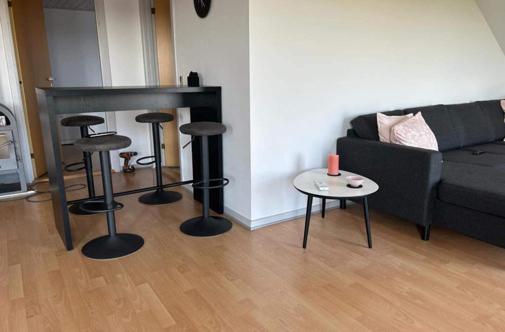 Sonderho House | Holiday home Ribe V