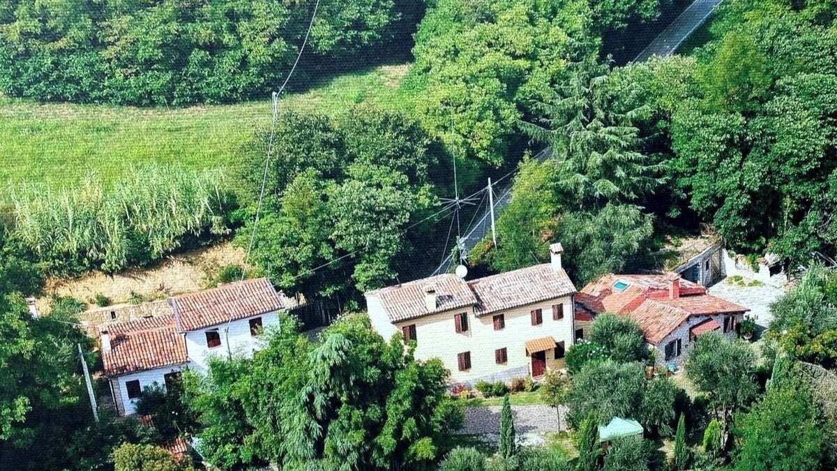 Albettone House | Holiday Home 'Rustico del Vigneto' with Mountain View, Garden & Wi-Fi