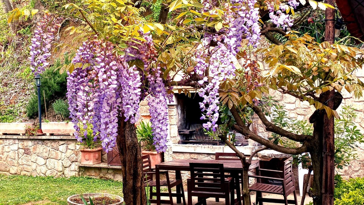 Albettone House | Holiday Home 'Villino San Silvestro' with Mountain View, Garden & Wi-Fi