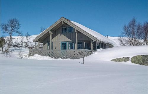 Vinje House | Holiday Home Vinje Skjærdalen