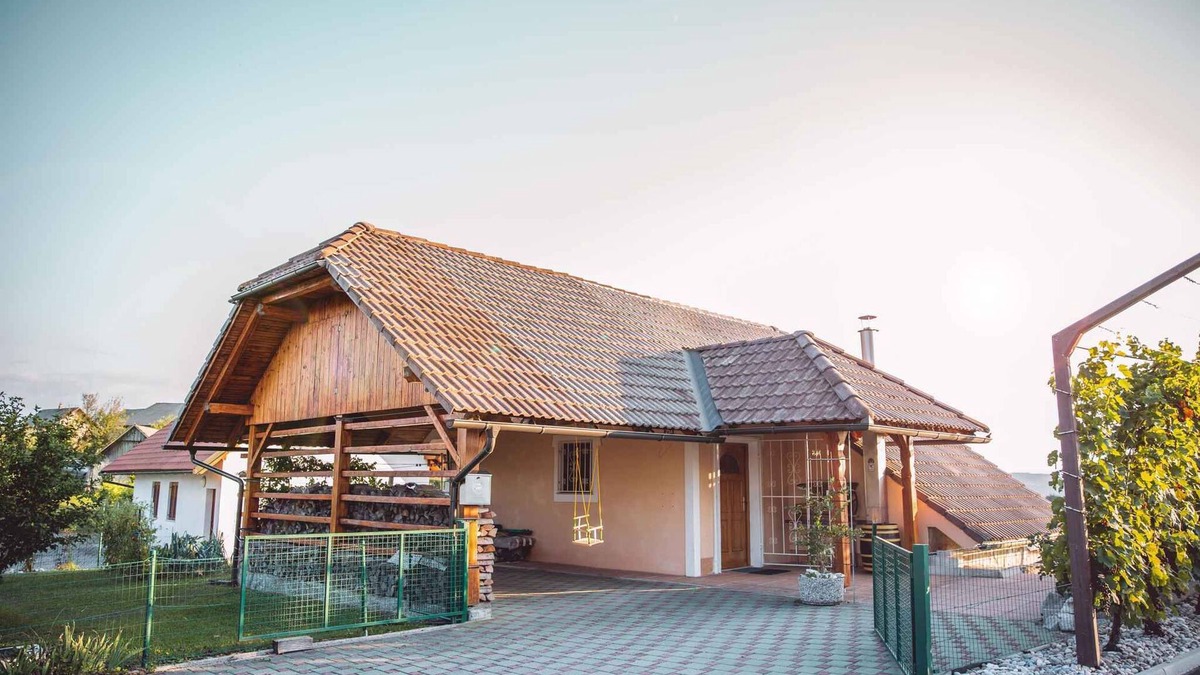 Bostanj House | Holiday home with terrace and air conditioning