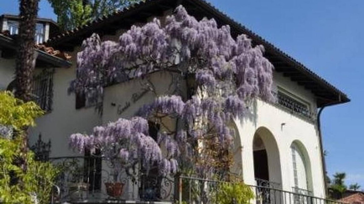 Ronco sopra Ascona House | Holiday house Ronco sopra Ascona for 1 - 4 persons with 2 bedrooms - Holiday house