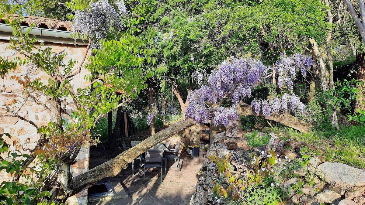 Chassiers House | Holiday house Chassiers for 1 - 7 persons with 3 bedrooms - Holiday home