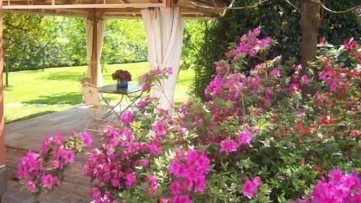 Gallicano House | Holiday house Gallicano for 1 - 2 persons with 1 bedroom - Holiday home