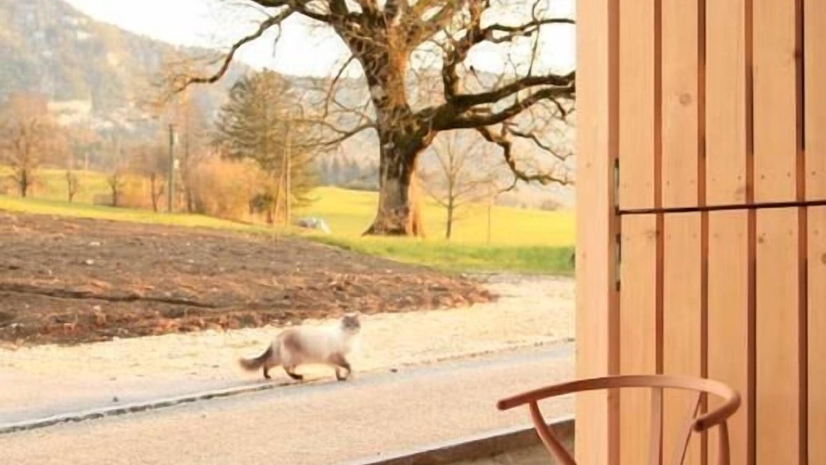 Grandval Other | Holiday house Grandval for 6 persons with 3 bedrooms - Farmhouse