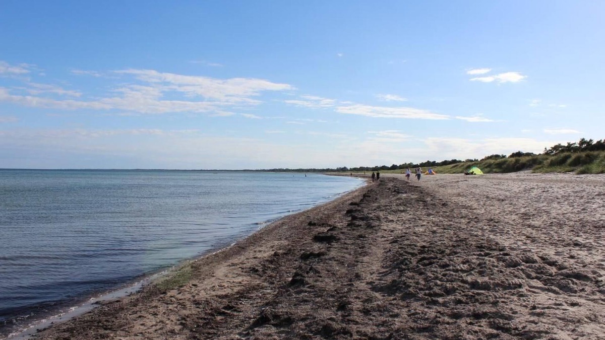 Idestrup House | Holiday house Idestrup for 1 - 24 persons with 10 bedrooms - Holiday home