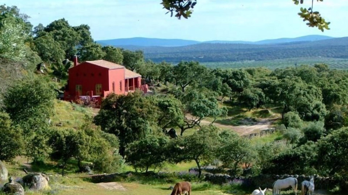 Montanchez Other | Holiday house Montanchez for 1 - 6 persons with 3 bedrooms - Farmhouse
