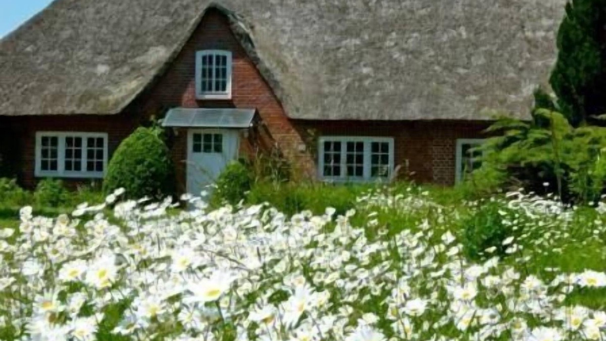 Riepsdorf House | Holiday house Riepsdorf for 1 - 8 persons with 4 bedrooms - Holiday home