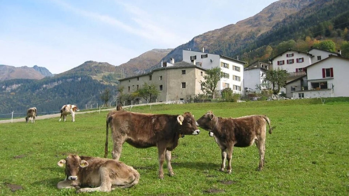 Poschiavo Apartment | Holiday house San Carlo for 2 - 12 persons with 3 bedrooms - Farmhouse