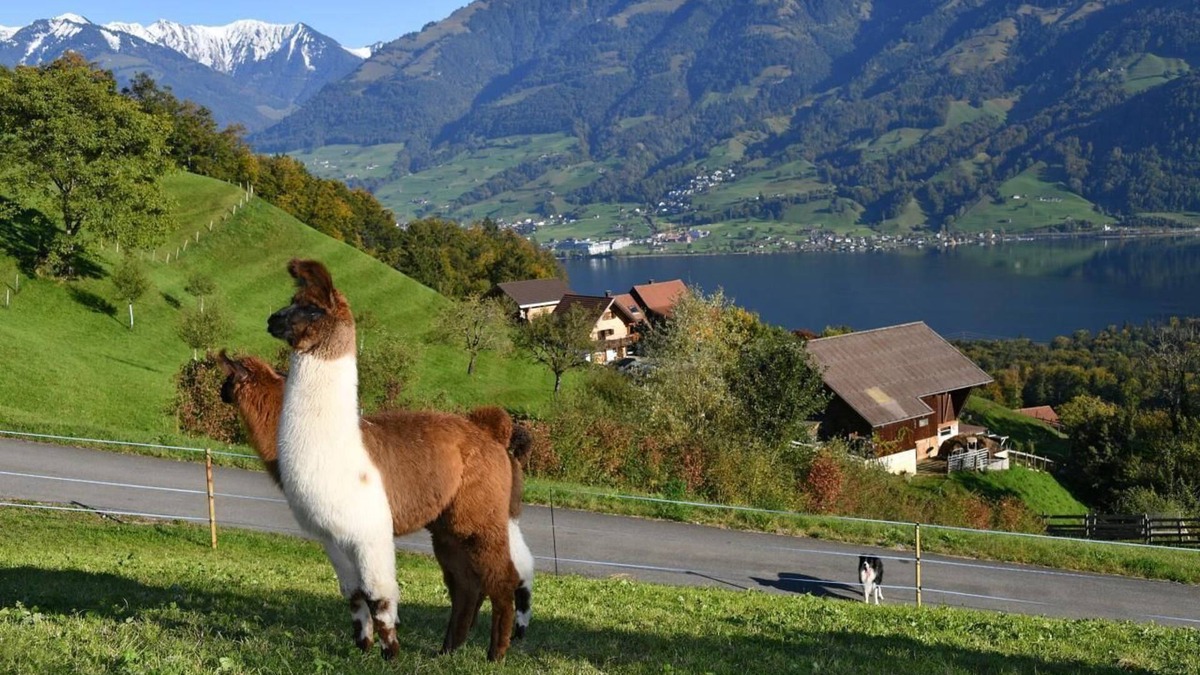 Sarnen Other | Holiday house Stalden for 1 - 4 persons with 2 bedrooms - Farmhouse