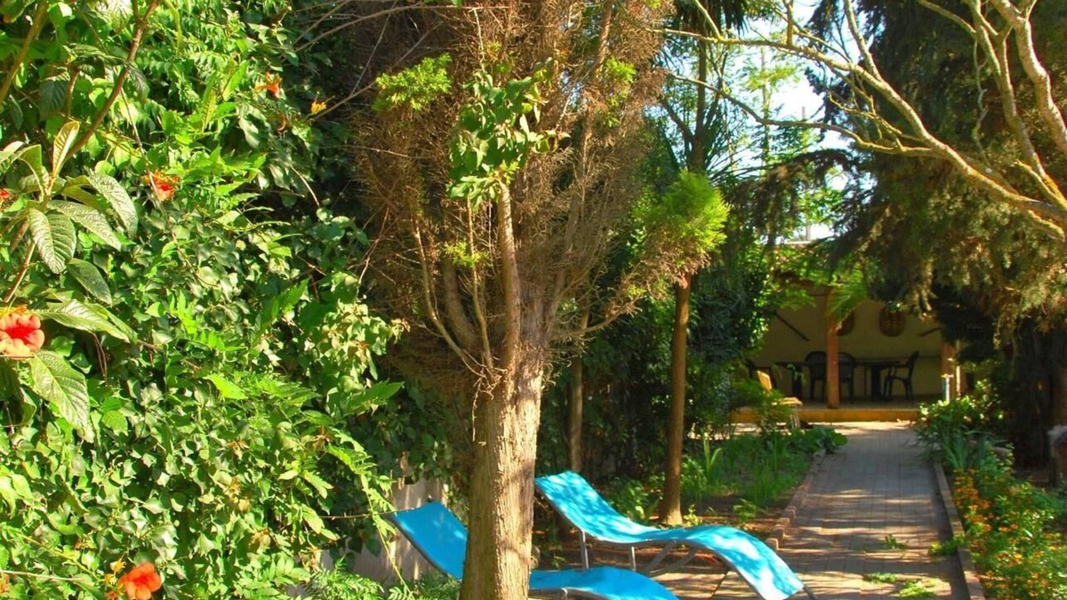 Ameal House | Holiday house Torres Vedras for 1 - 8 persons with 4 bedrooms - Holiday home