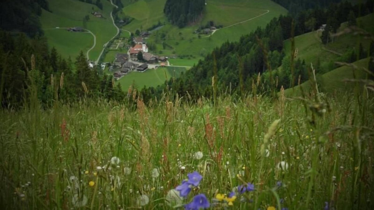 Trubschachen Ski Chalet | Holiday house Trubschachen for 2 - 5 persons with 3 bedrooms - Holiday house