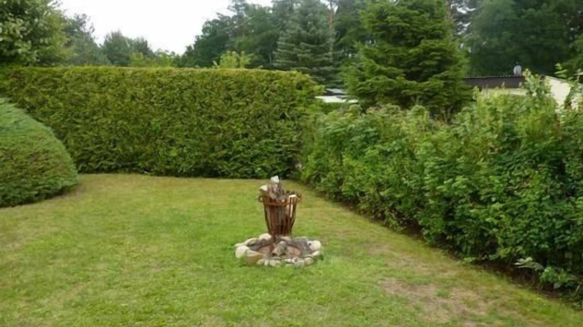 Drosedow House | Holiday house Wustrow for 1 - 2 persons with 1 bedroom - Holiday home