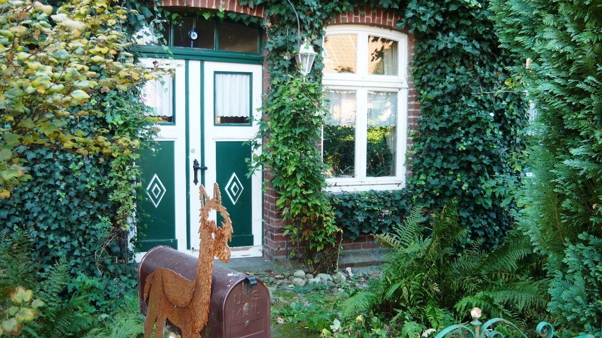Giesensdorf Other | Holiday in the alpaca hut