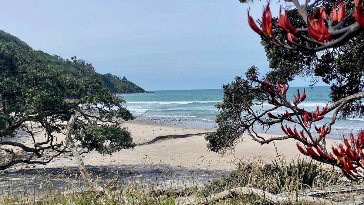 Katikati House | Holiday in the Bay