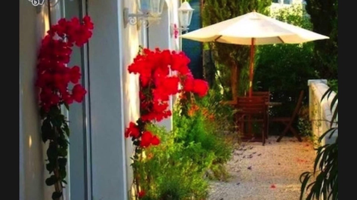 Mantega Apartment | Holiday in the sun villa sea view in nice