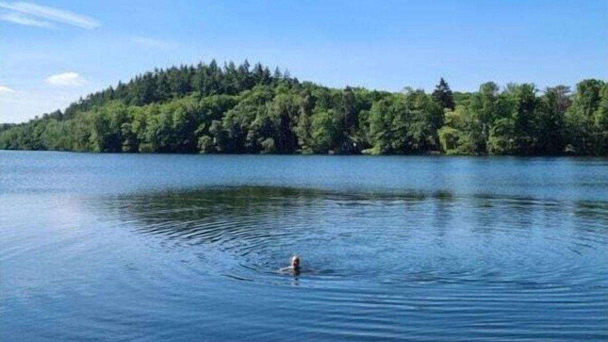 Alt Molln House | Holiday Nest Comfortable holiday residence