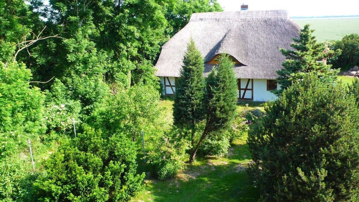 Rossin Other | Holidays in the old farmhouse on the Eulenhof between Penetal and Stettiner Haff
