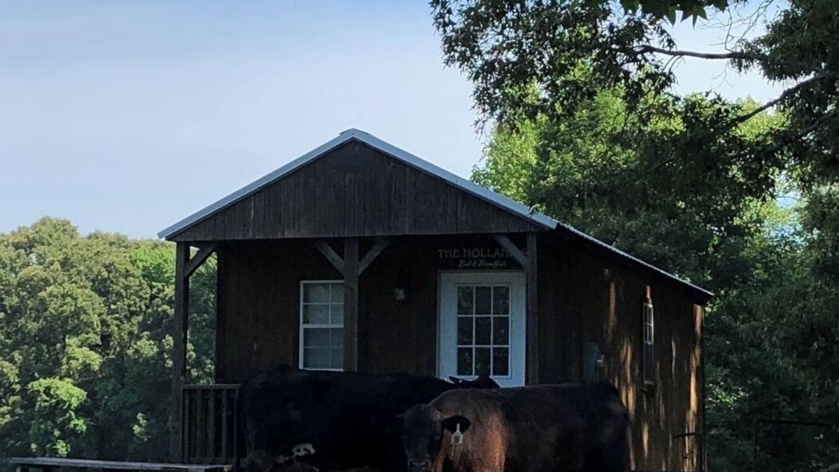 Minden Cabin | Holland Hill Cabin on a Pond