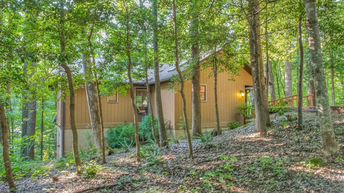 Blairsville Cabin | Holly Cabin on Town Creek, in the NE Mountains of Blairsvillen2 WEEKS MAX STAY!