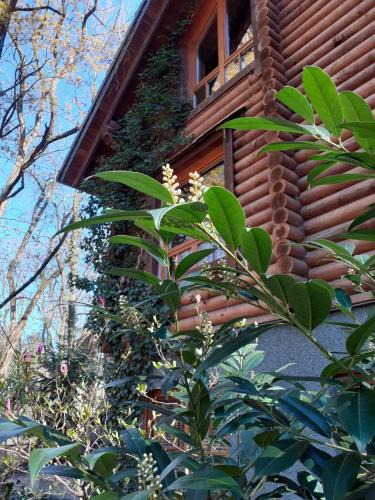 Kablow House | Holzhaus am See