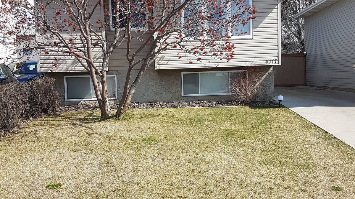 Beaumont House | Home Away From Home - Close to YEG Airport