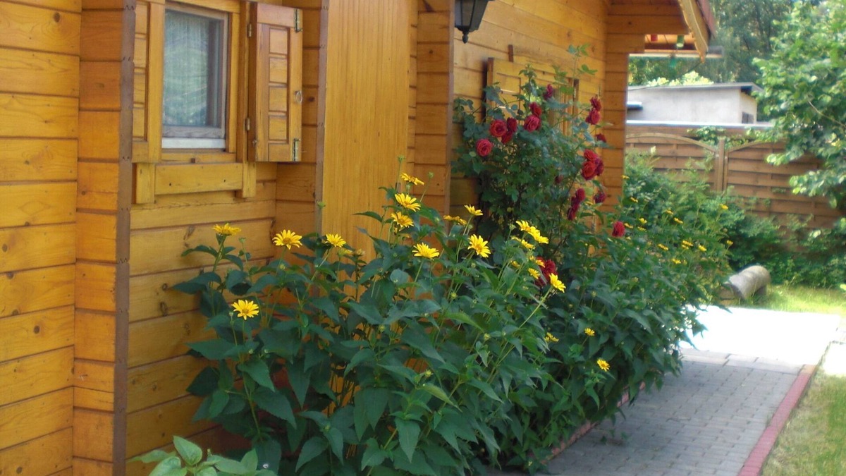 Oberhavel House | Home BerlinNah romantic log cabin