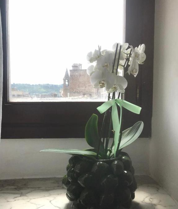 Orvieto House | Home l’archetto