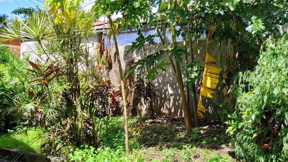 Tartane House | Homerez - 2 Bedroom House in Le Carbet – 60 m² with Terrace