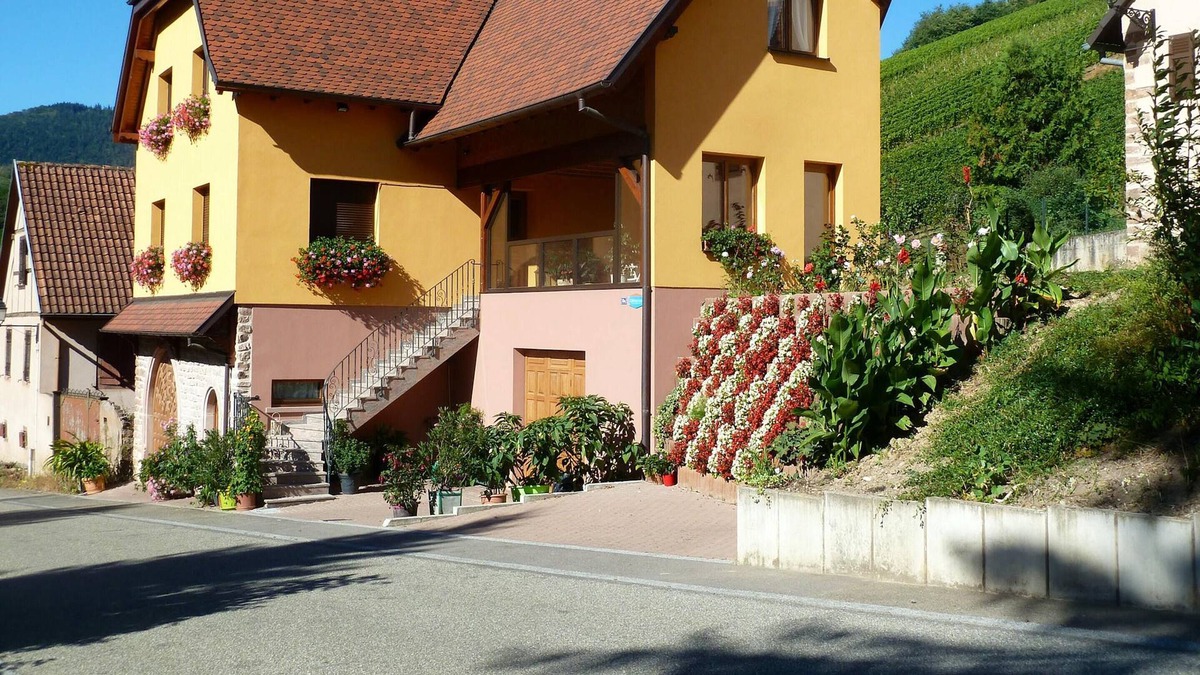 Bernardville Apartment | Homerez - Amazing appartement for 4 ppl. at Bernardvillé