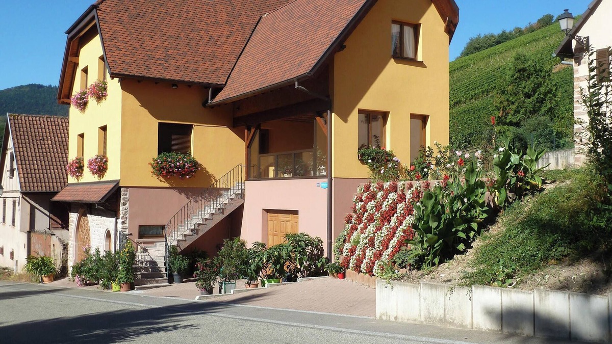 Bernardville Apartment | Homerez - Apartment in Bernardvillé