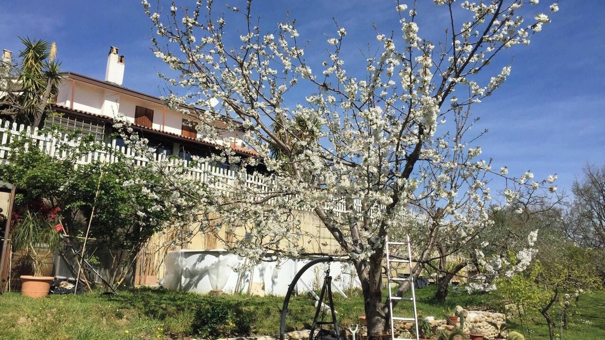 Treglio Villa | Homerez - Elegant Villa in Treglio with Private Pool