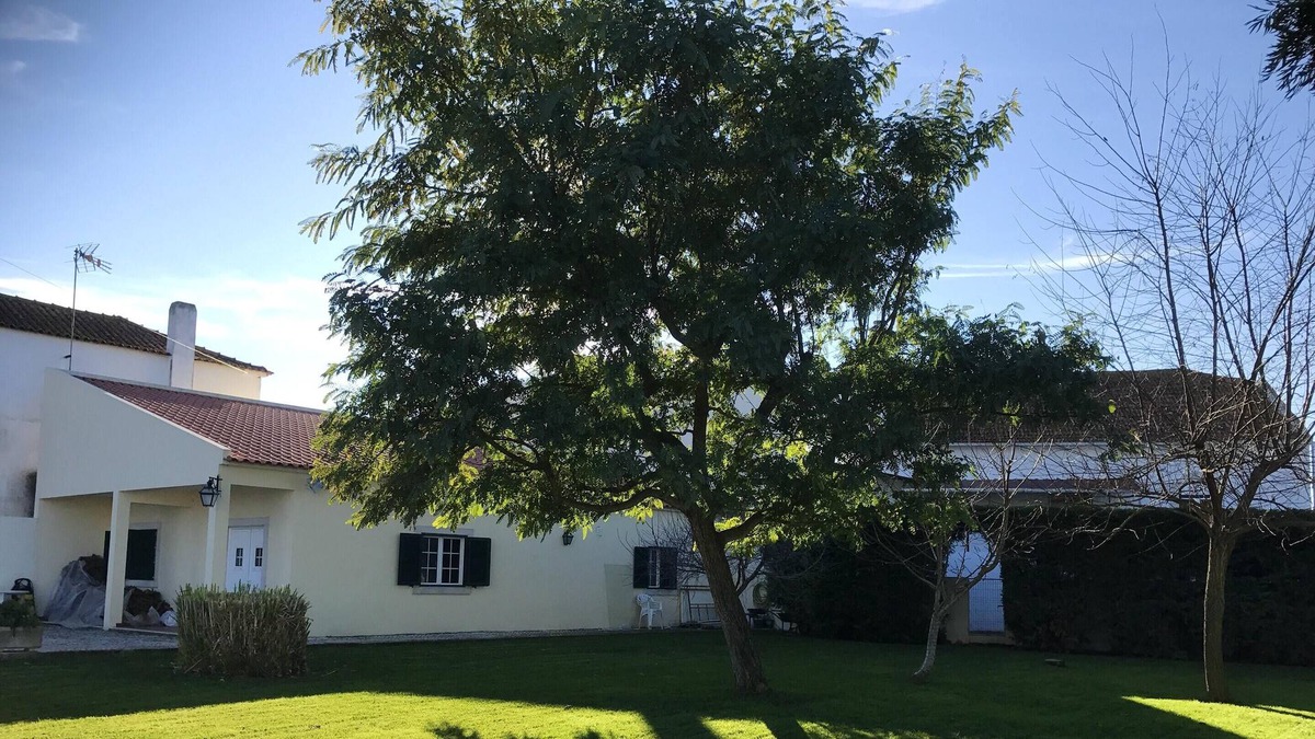 Alcanhoes House | Homerez - Nice house for 4 ppl. with shared pool and garden at Alcanhões