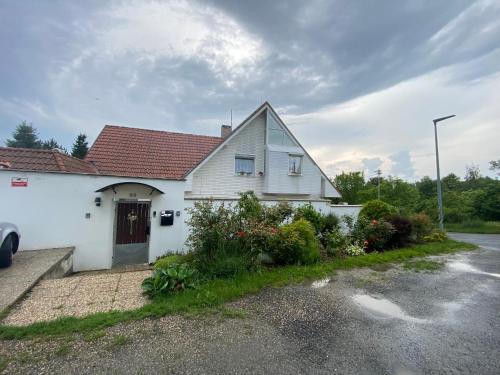 Zdiby House | Homestay U Hanky