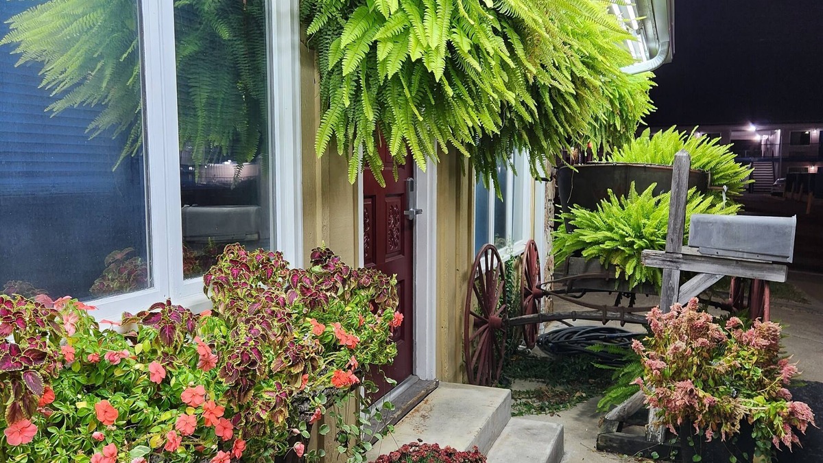 Branson Hotel | Homestead Motel