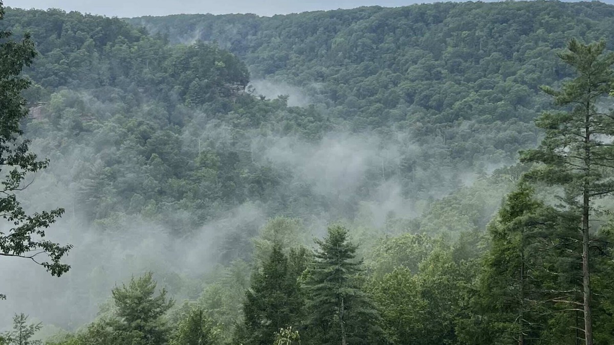 Rogers Cabin | Honeydew Cabin - Romantic, Sauna, Views, Hot Tub