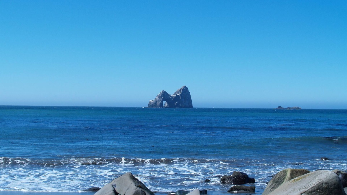 Gold Beach House | Honeymoon Cove- Exclusive Beach, Ocean View & Spa