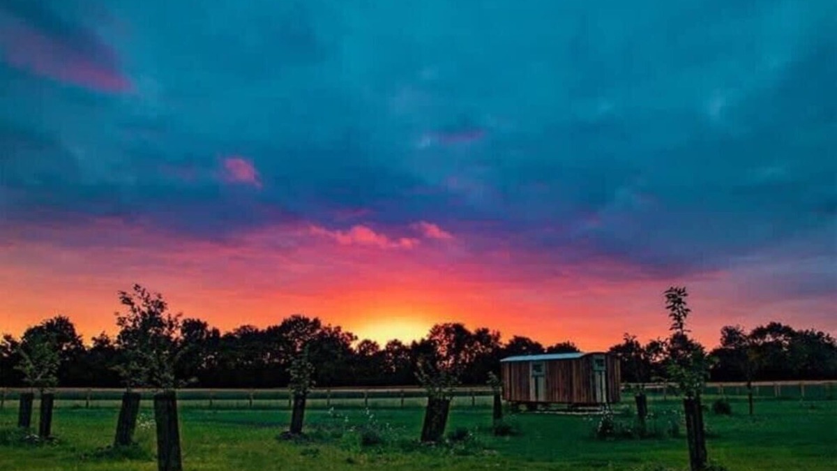 Monk Soham Cabin | Honeysuckle Farm Hut 3 - Suffolk Farm Holidays