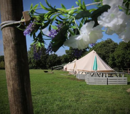 Wadhurst Other | Hopgarden Glamping and camping - Luxury furnished Bell tents & Shepherd huts plus camp field to pitch your own tents
