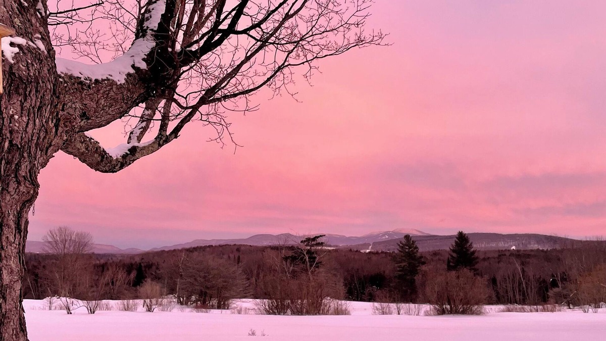 Brome-Missisquoi Regional County Municipality House | Horizon Breathtaking view Outdoor activities Ideal for family Pet possibility