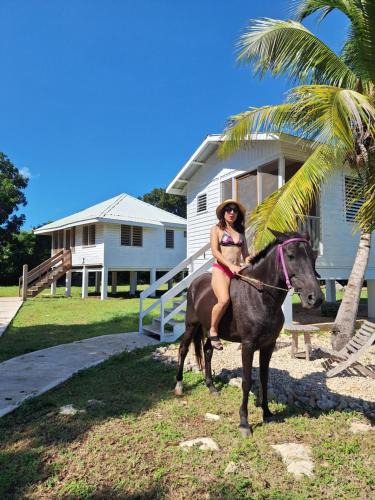 Sarteneja Hotel | Horse Cottage