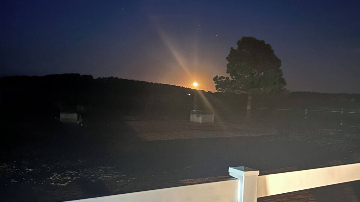 Larkspur House | Horse Ranch with 4-bedroom house in lovely Larkspur with WiFi, AC