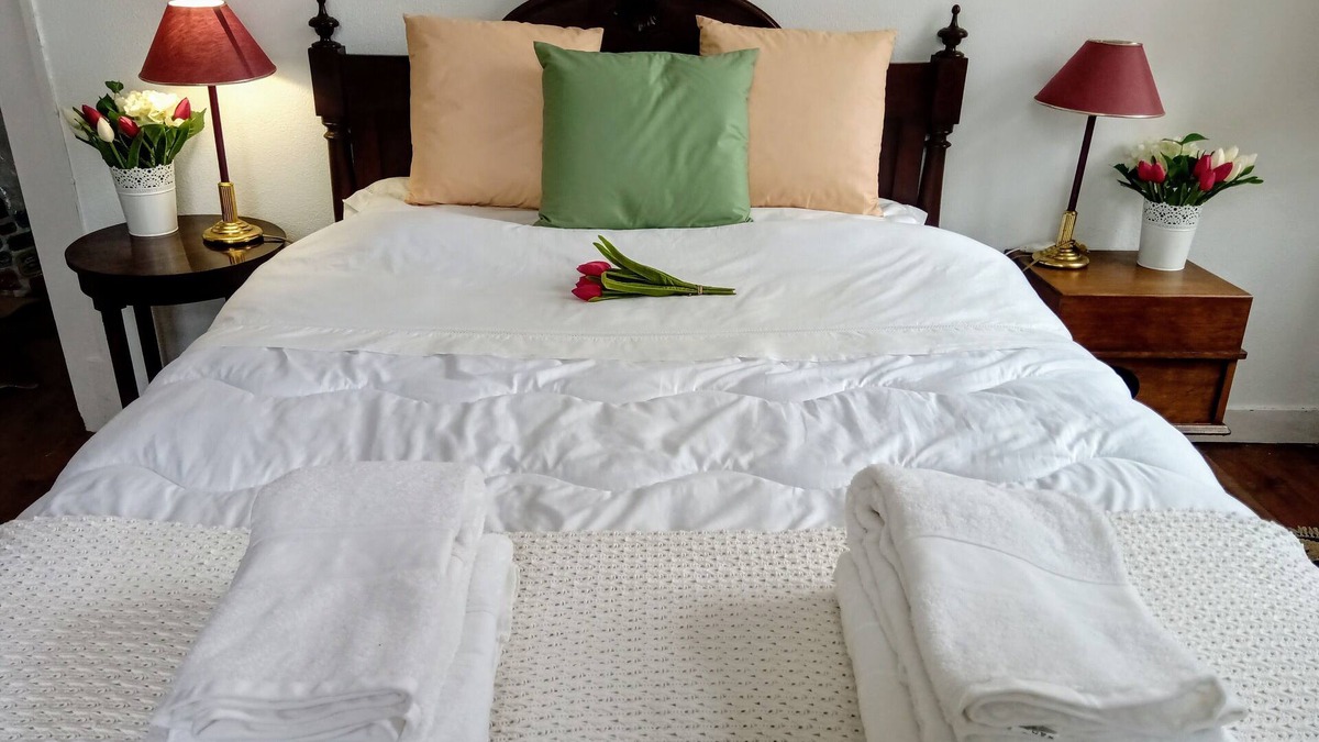 Carvalhal Benfeito Other | Horses, Breakfast and Bed Welcome you in Portugal